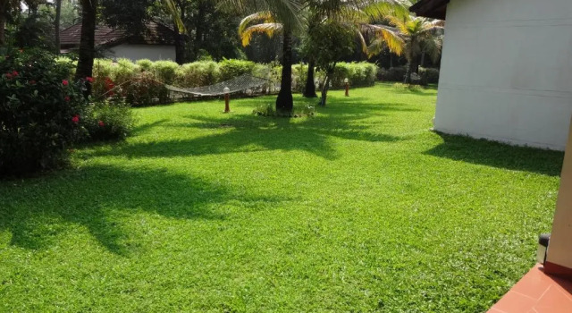 Коттедж с видом на сад Abad Whispering Palms