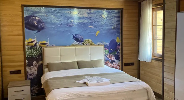 Номер Deluxe Fındıkoğlu Otel