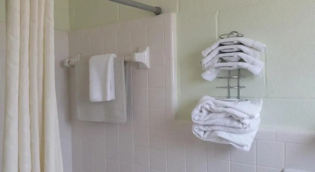 Двухместный номер Standard Цокольный этаж Vancouver Motel