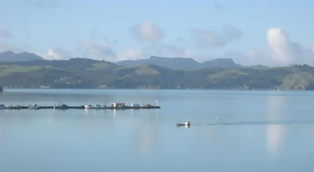 Номер Standard Harbour View Motel