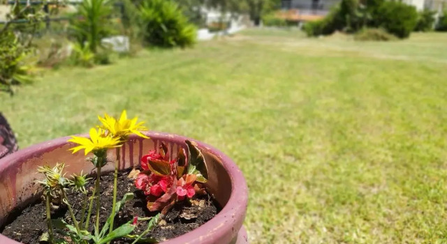 Коттедж Villa Paradise