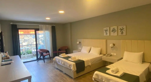 Семейный номер Standard с видом на сад Olivia Hotel