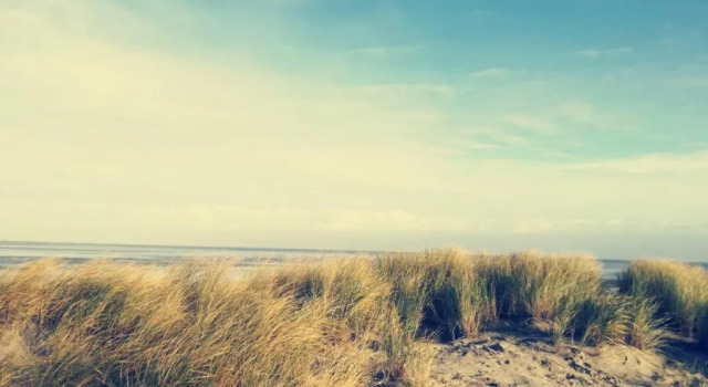 Апартаменты Ferienwohnung Nordsee-Feeling