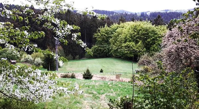 Двухместный номер Standard Green Corner Nürburg