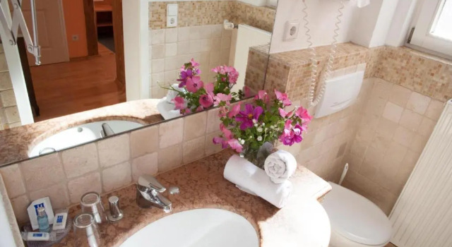 Двухместный номер Standard с балконом Insel-Hof Reichenau Hotel-garni