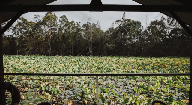 Номер Standard The Boathouses at Leaves & Fishes