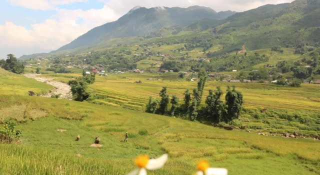 SaPa Farmer House, Rezervovat Hotel Levné hotely v Lao Cai