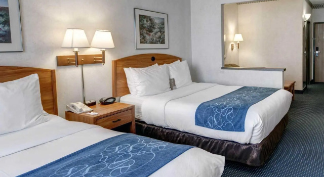 Четырёхместный люкс Comfort Suites University