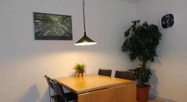 Апартаменты c 1 комнатой Vestergade Holiday Apartment