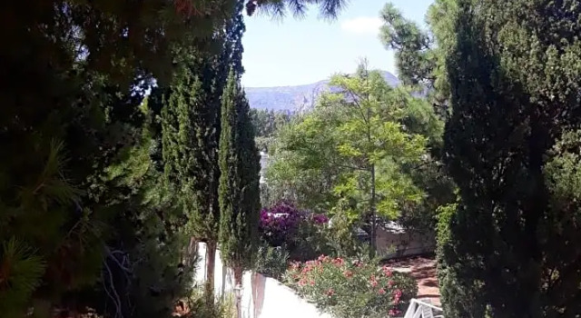 Villa il Glicine