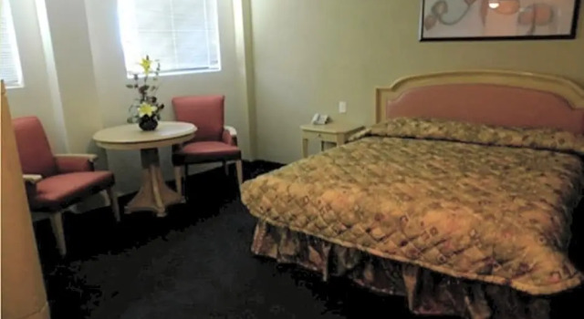 Четырёхместный номер Standard с красивым видом из окна Hotel San Francisco Irapuato Business Class