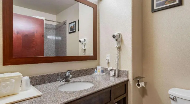 Одноместный номер Standard Comfort Inn & Suites Navasota