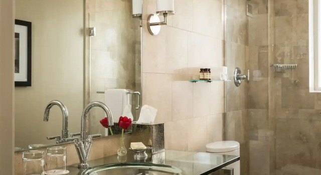 Четырёхместный номер Standard с балконом Hotel Zaza Houston Museum District