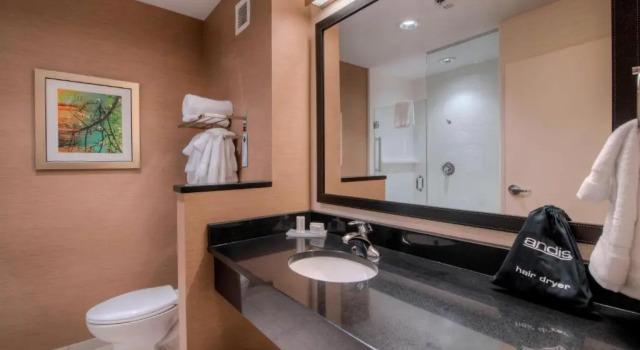 Номер Standard Residence Inn by Marriott Charlotte Airport