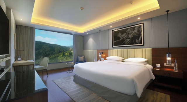 Люкс Deluxe Hyatt Regency Dehradun Resort and Spa
