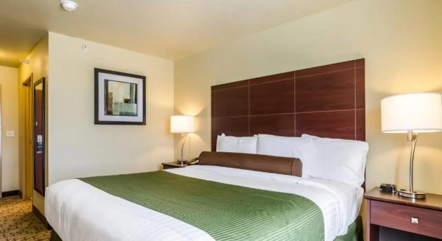 Номер Standard Cobblestone Inn & Suites - Oberlin