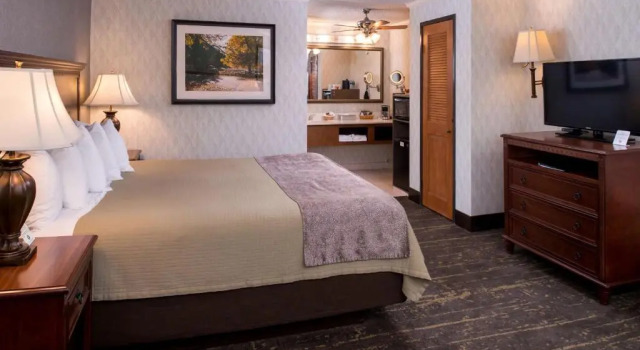 Номер Standard Best Western Plus Black Oak