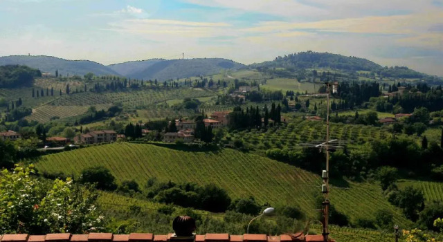 Номер Standard B&B San Gimignano Diffuso