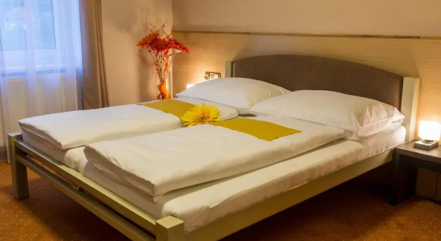 Двухместный номер Standard Hotel Lužnice
