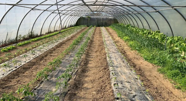 Agroturismo Urresti