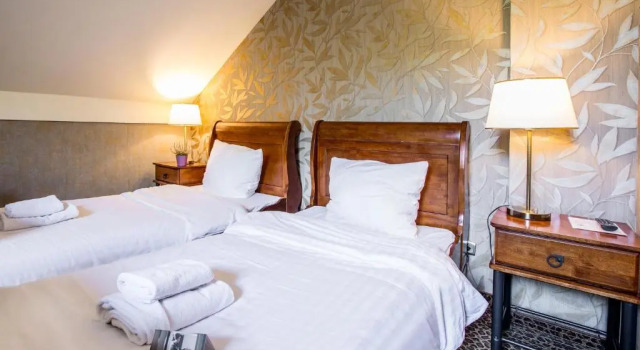 Двухместный номер Executive Hotel Diament Vacanza Katowice - Siemianowice
