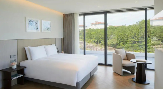 Двухместный номер Premier Parnas Hotel Jeju