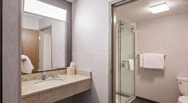 Двухместный номер Standard Sonesta Select San Ramon