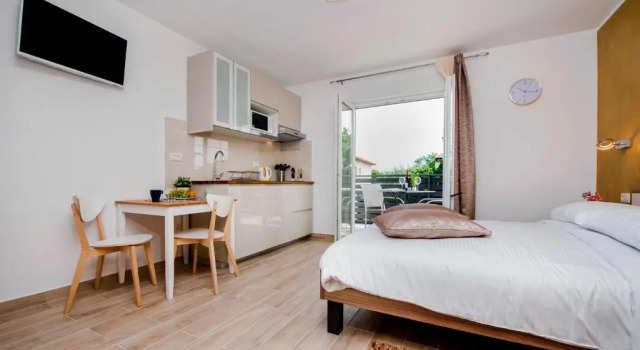Apartment and Studio Tereza