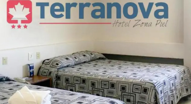 Четырёхместный номер Standard Hotel Terranova