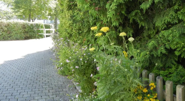 Номер Standard Hotel Bigger Hof - Wirtshaus Platzhirsch am Jahnplatz