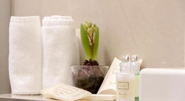 Номер Standard Boutique Hotel U Solné brány