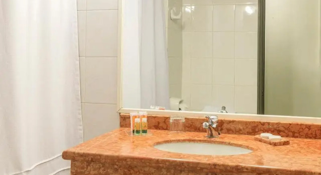 Двухместный номер Executive Hotel Frontera