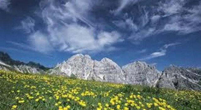 Одноместный номер Standard Hotel Hoferwirt - Neustift, Stubai