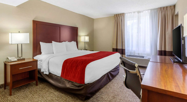Comfort Inn St Petersburg North