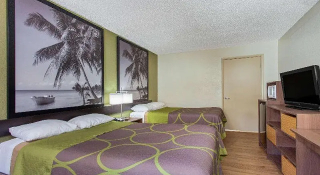Номер Standard Super 8 By Wyndham Clearwater/Us Hwy 19 N