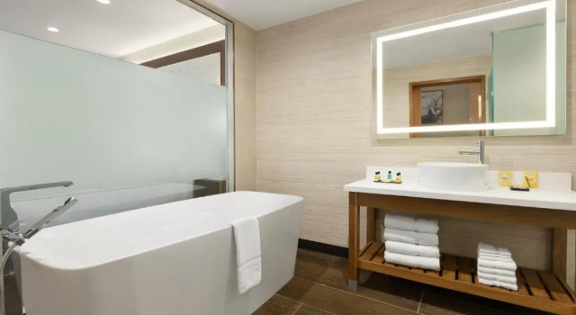 Двухместный люкс Deluxe Wyndham Anaheim
