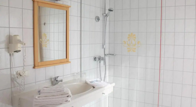 Номер Standard Hotel Waldidyll