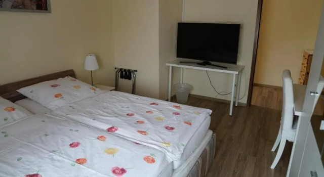 Двухместный номер Standard Hotel zum Grafen Hallermunt