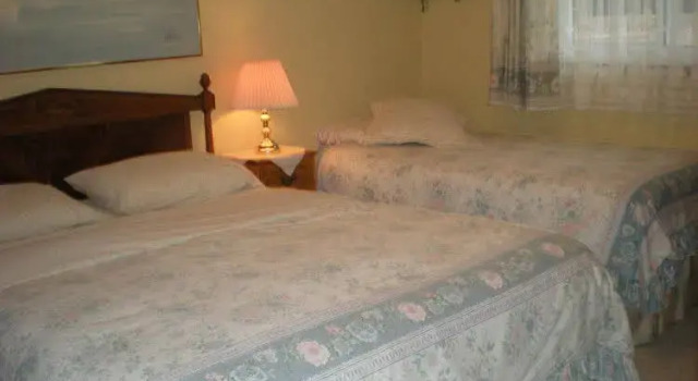 Ollies Guest House, Varaa Matkakoti  