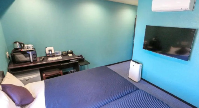 Двухместный номер Standard HOTEL LiVEMAX Numazu Ekimae