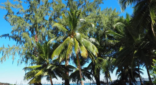 MADIROKELY HOUSE Nosy Be, Varaa Hotelli Madirokely 