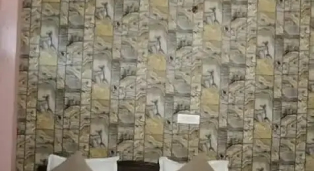 Номер Standard Hotel Krishna Inn