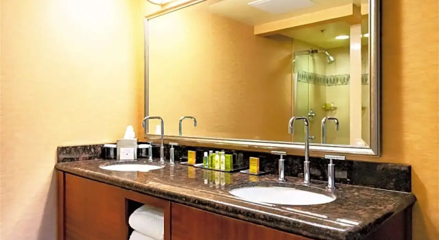 Двухместный люкс Gateway с балконом DoubleTree by Hilton San Jose
