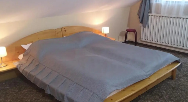 Номер Standard Pensiunea Casa Tepes