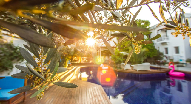 Номер Standard Hotel Centro Bodrum