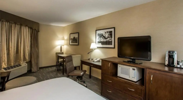 Двухместный номер Standard Holiday Inn Lethbridge by IHG