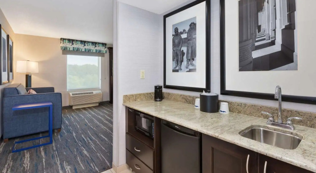 Люкс Hampton Inn and Suites Flint/Grand Blanc