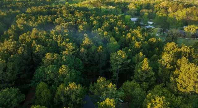 Коттедж с 3 комнатами Hickory Bear - Secluded Cabin, Sleeps 10, New Hot Tub, Fire Pit, Arcade, Foosball Table & Deck Slide