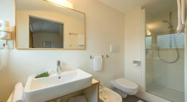 Номер Standard Hotel Tre Cime Sesto - Sexten