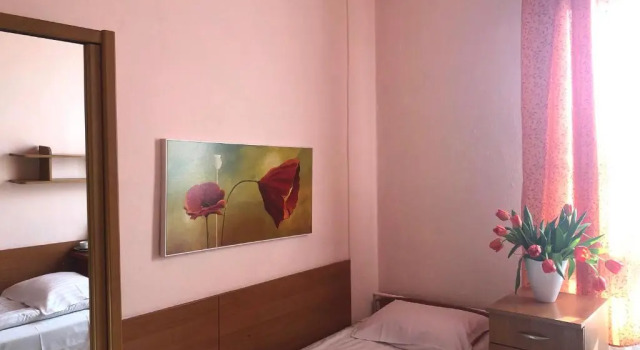 Двухместный номер Standard Hotel Haga